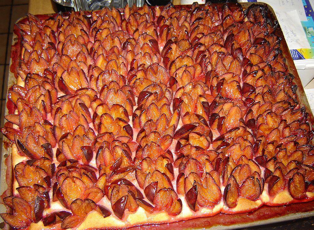 Muttentaler Zwetschenkuchen 04.jpg