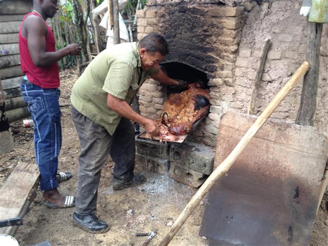 IMG_1295 (Small).JPG