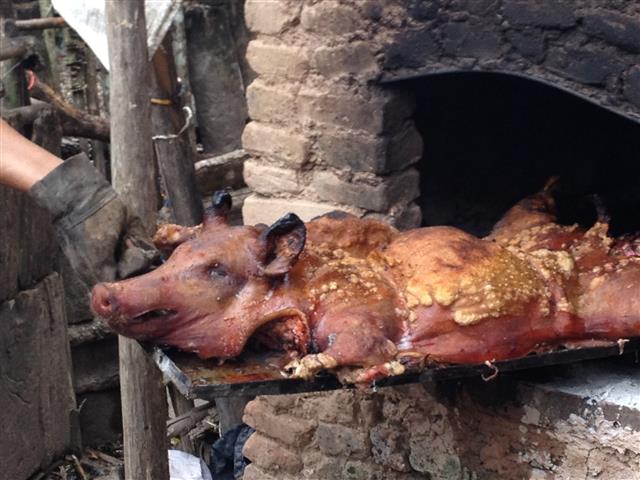 IMG_1297 (Small).JPG