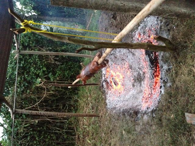 IMG_1322 (Small).JPG