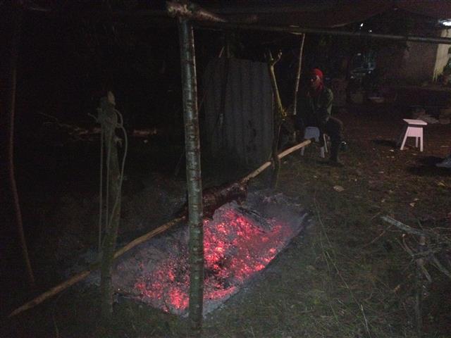 IMG_1333 (Small).JPG