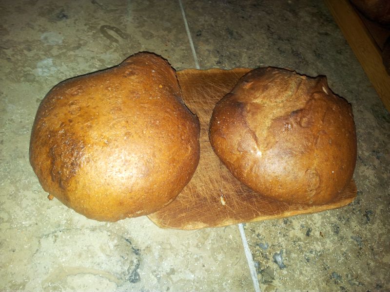 Eingenetztes.jpg
