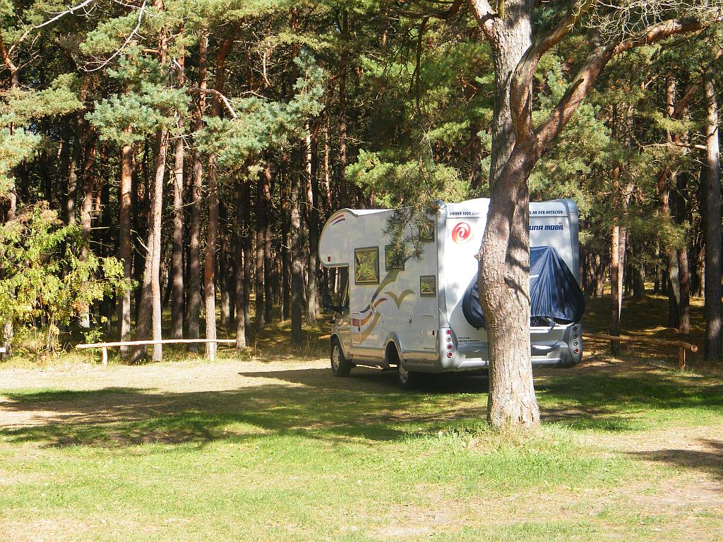 DSCF1542.JPG