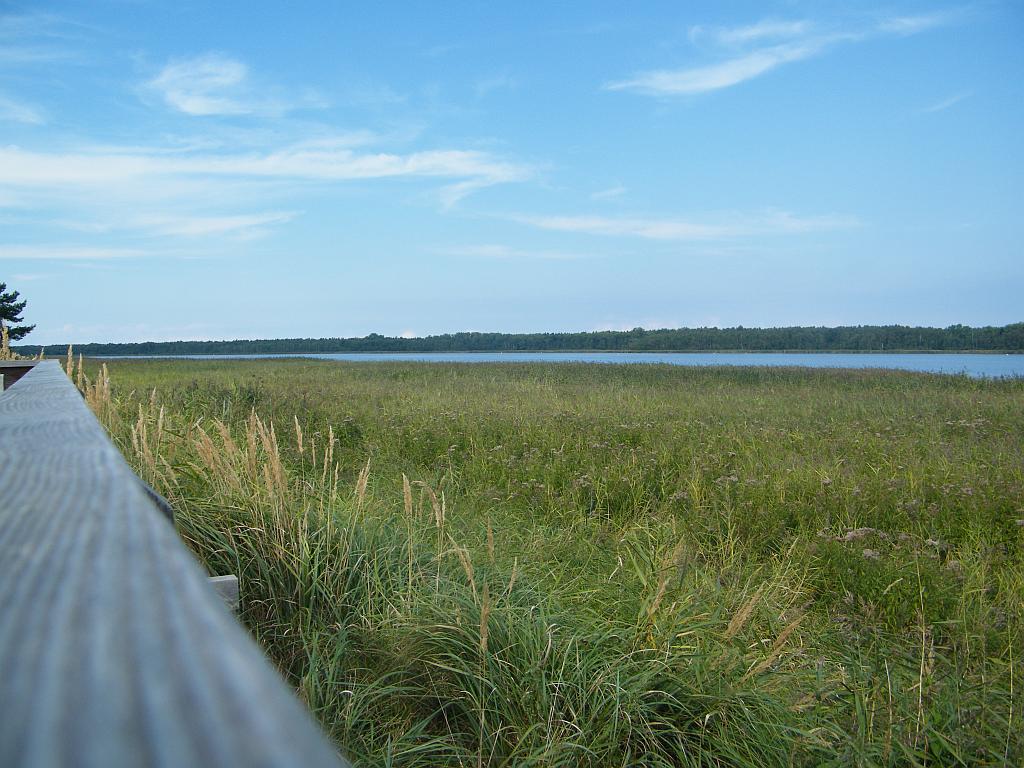 DSCF1572.JPG