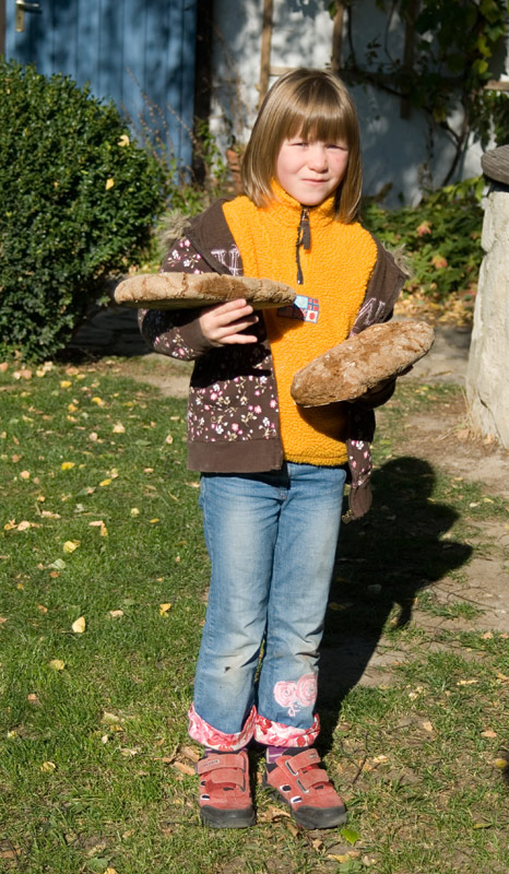 031013Roggensauerteigbrot-aus-100%-selbstgemahlenem-Getreide008.jpg