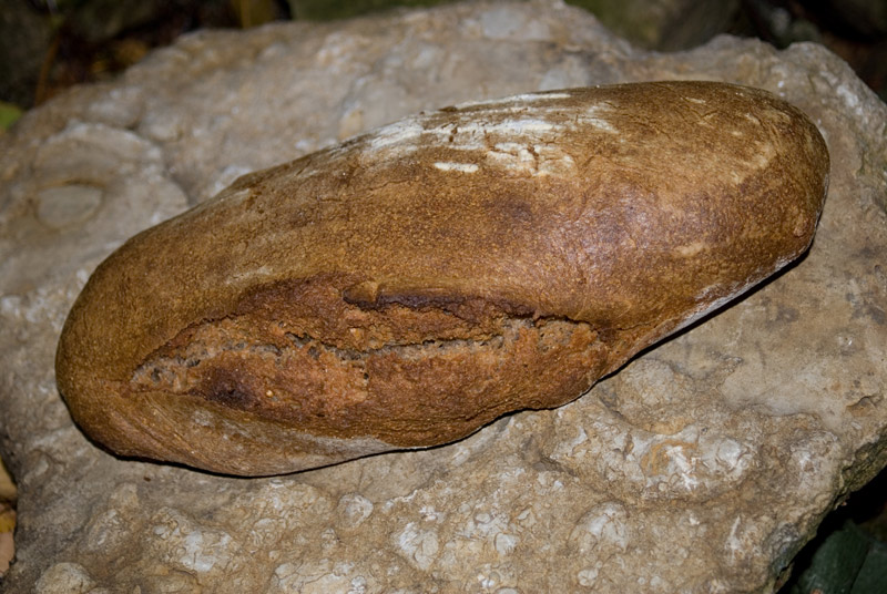 061013schnelles-Roggensauerteig-Weizenvollkornmehlbrot001.jpg