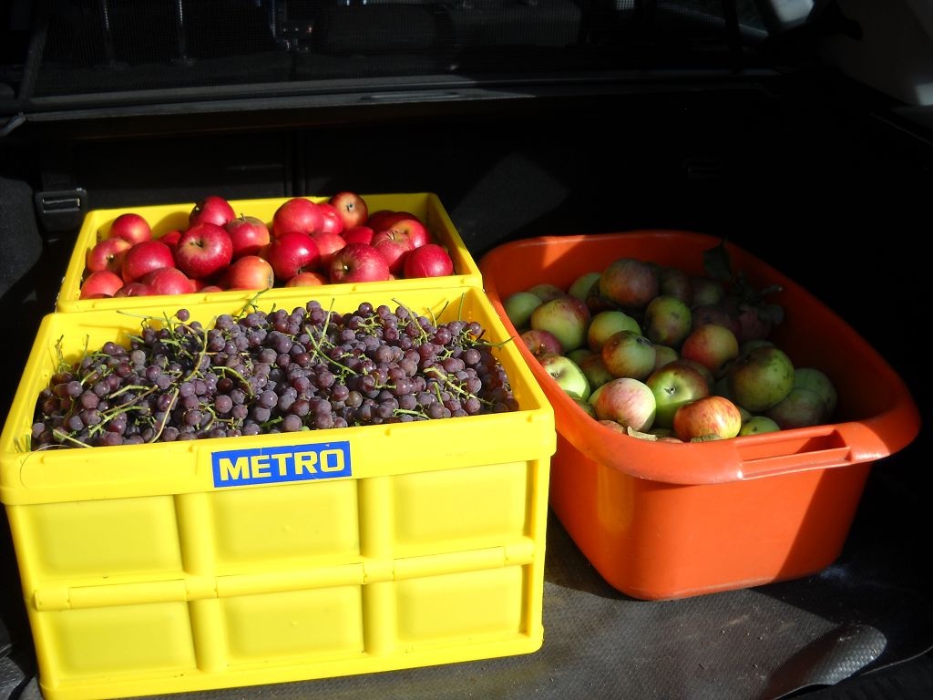 k-Steinis Besuch 19.10.2013 008.jpg