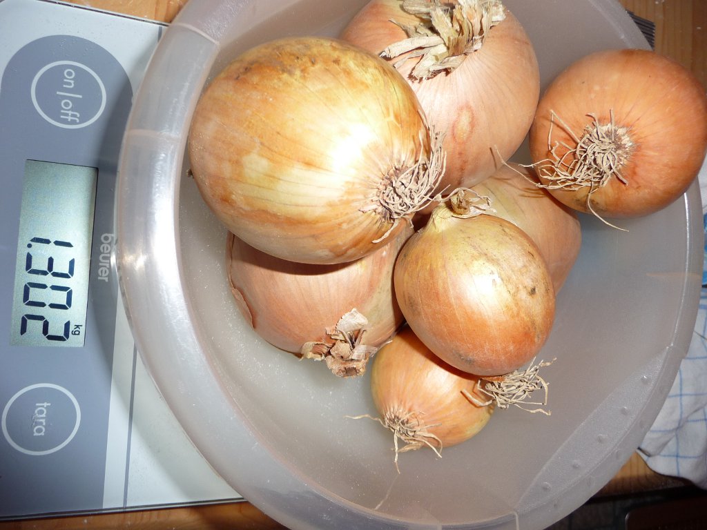 20131020_8_ZumHeulen.JPG