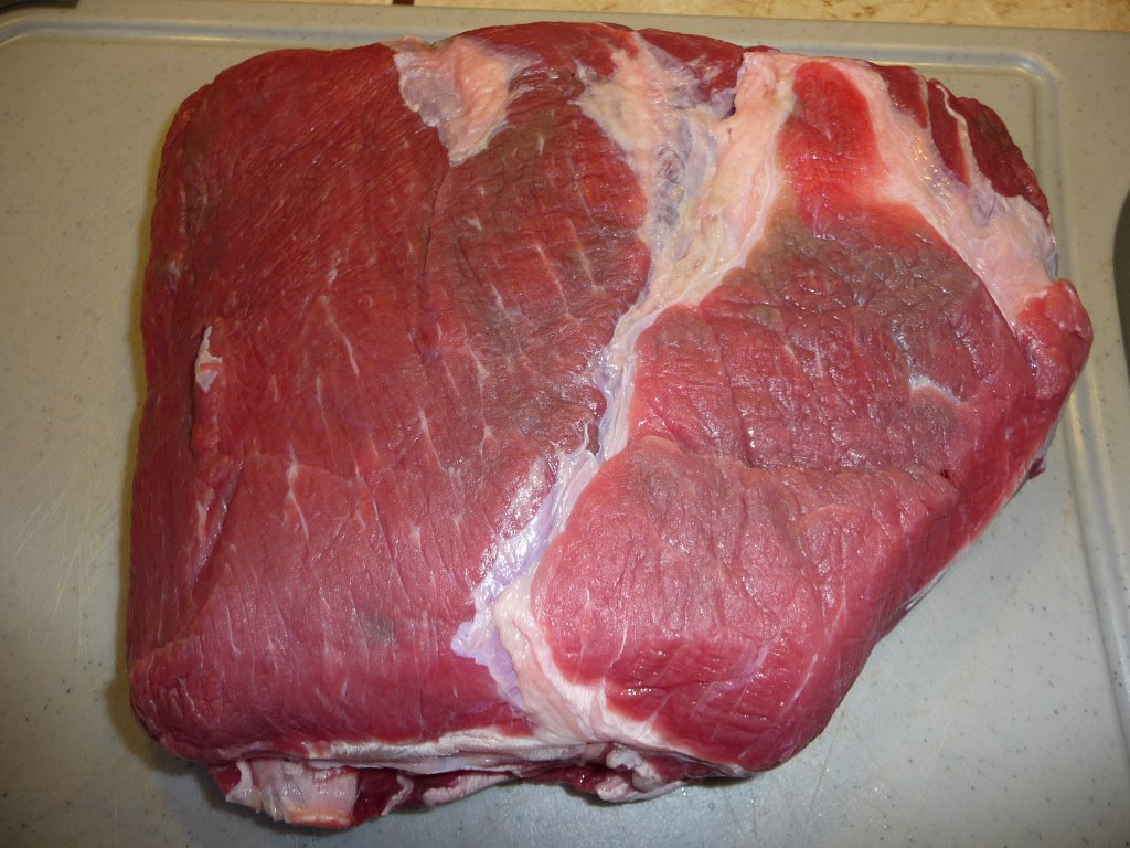 20131020_9_JungbullenWadl.JPG