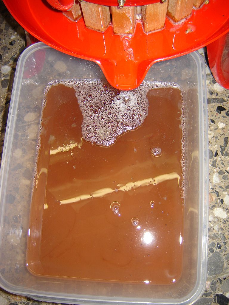 Traubenmaische07.jpg