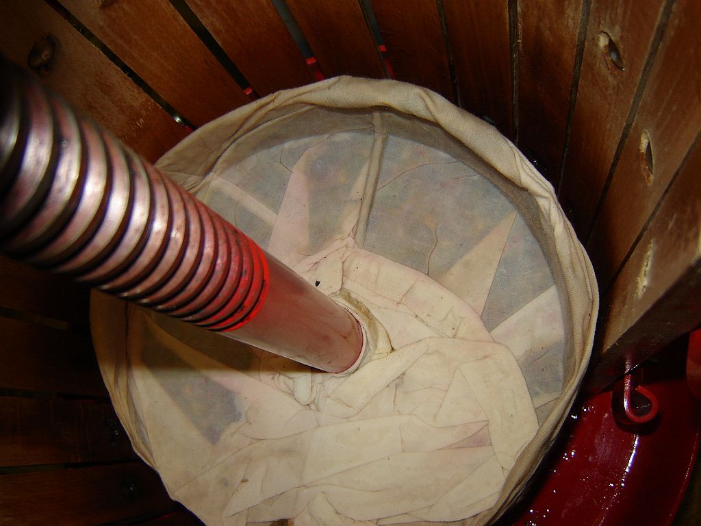 Traubenmaische08.jpg