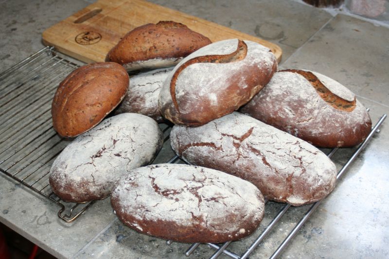 Brote fertig1.jpg