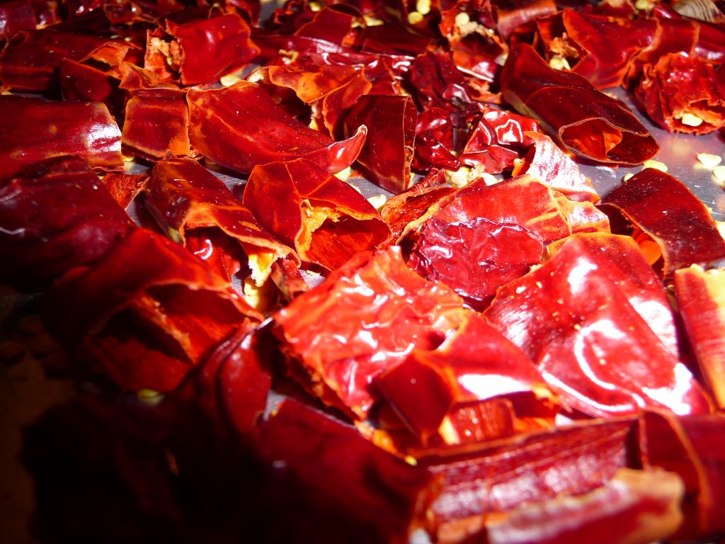 20131022_NahUndScharf.JPG