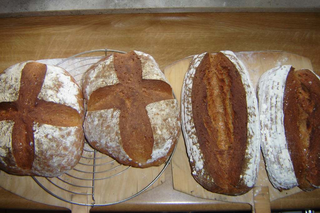 Backergebnis von heute