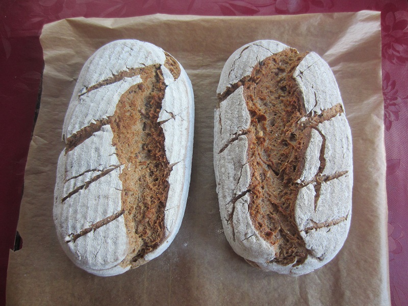 Mischbrot RST 1.JPG
