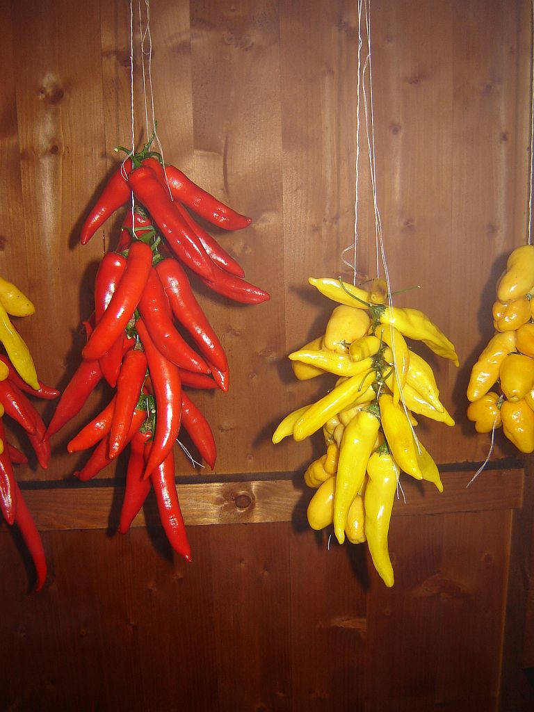 geräucherte Chilis 01.jpg