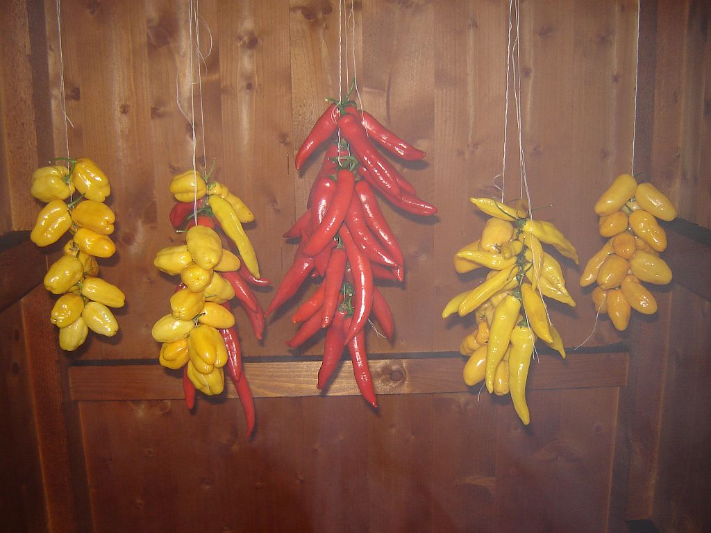 geräucherte Chilis 02.jpg
