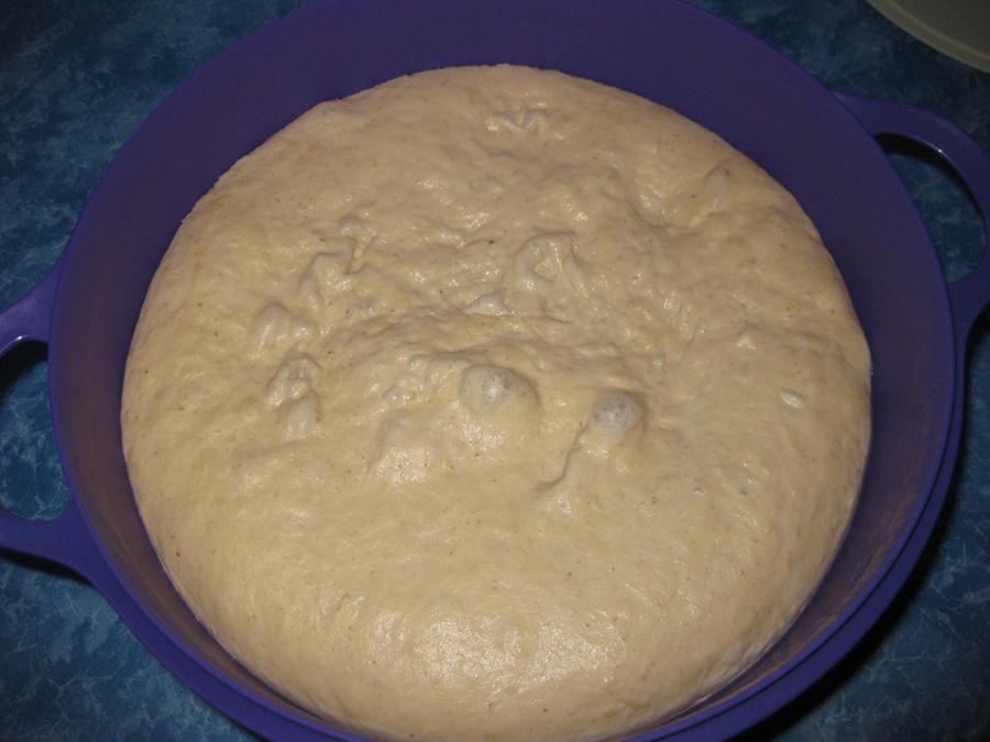 Teig nach 18 Std. im Küli