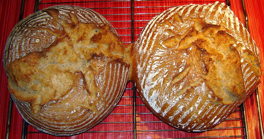 Mischbrot-13-11-05-01.jpg