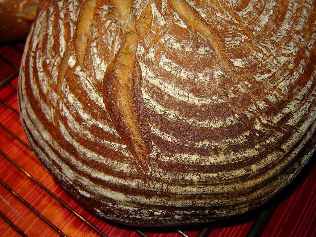 Mischbrot-13-11-05-02.jpg