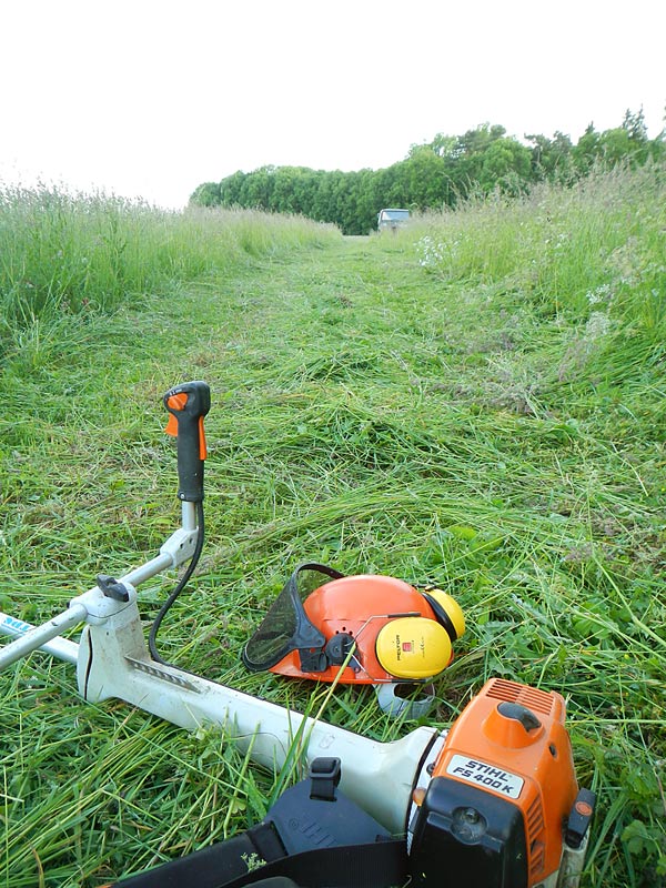 Freischneider-stihl-FS400k.jpg