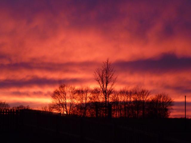 Abendhimmel 1 17-11-2013.JPG
