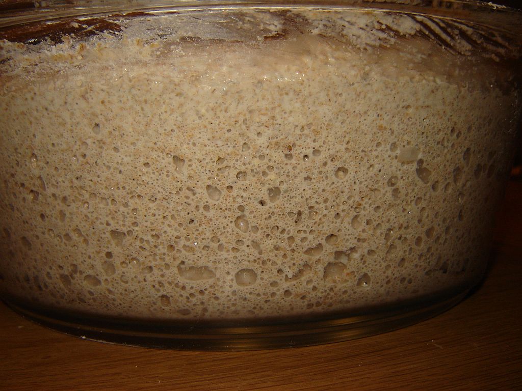 STausElmroggen02.jpg