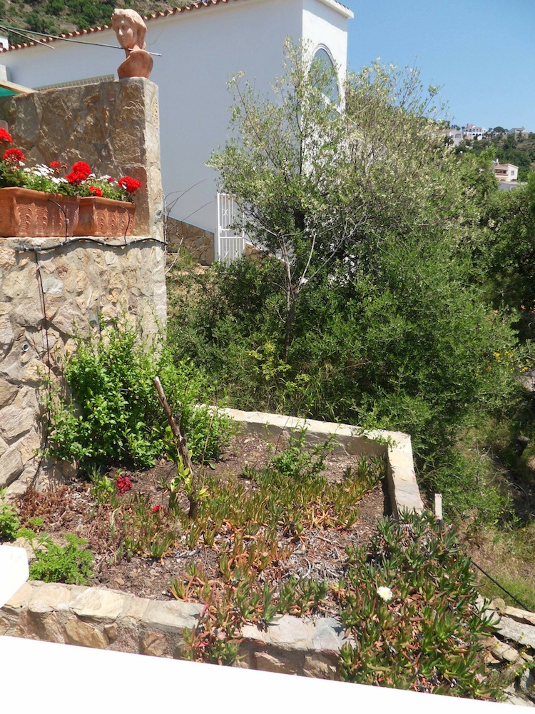 SDC10588.jpg