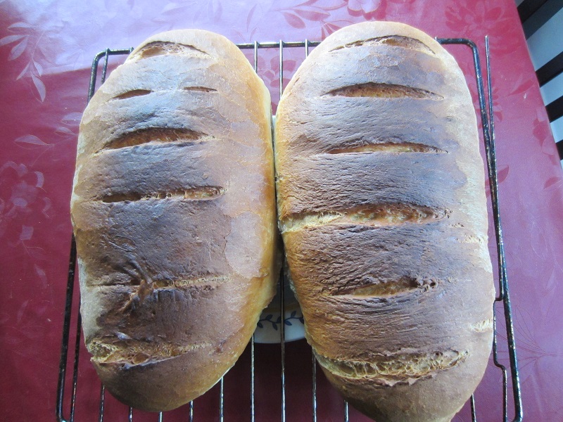 Friesisches Weissbrot.JPG