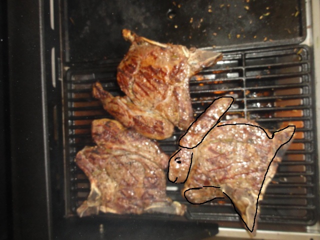 Hasen.jpeg