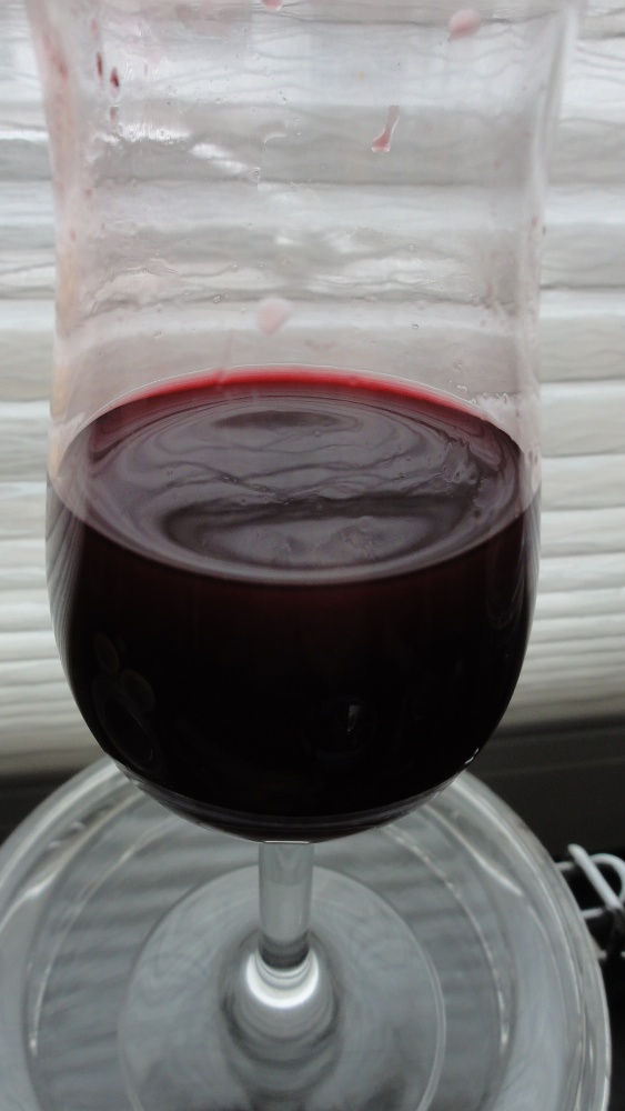 DSC09036.jpg