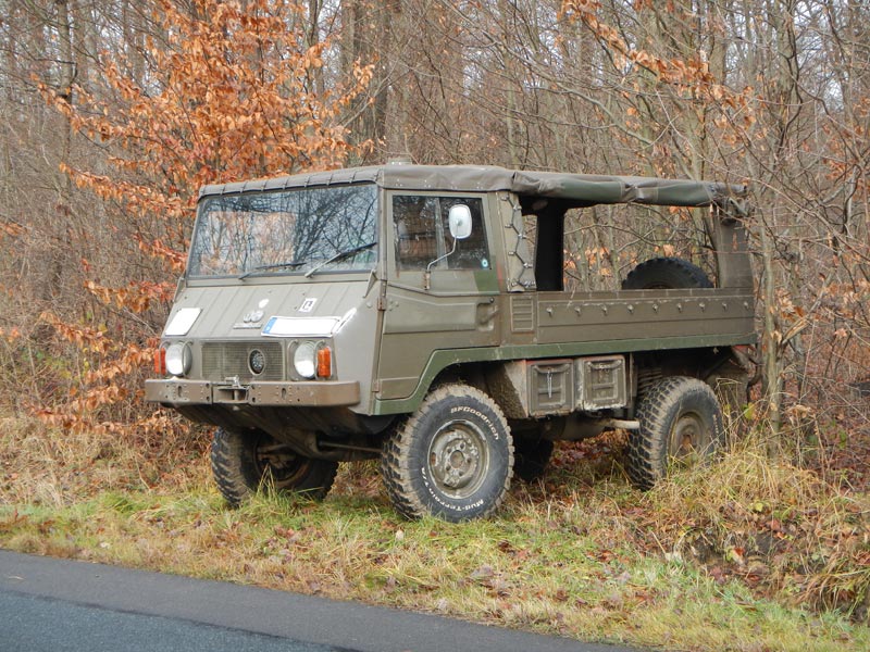 Pinzgauer Dez 13.jpg