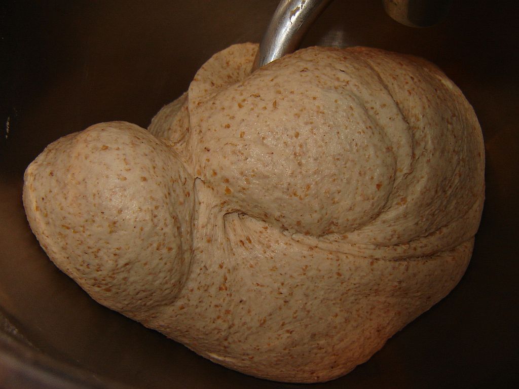 OBM13Vollkornbrötchen03.jpg