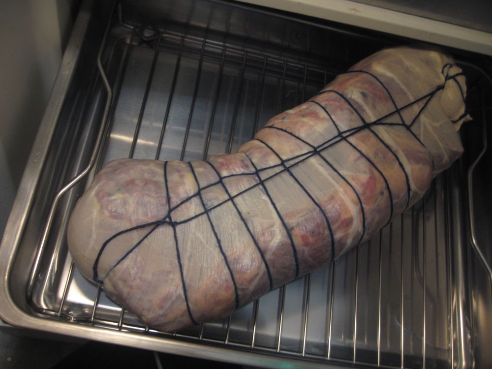 Coppa 2.jpg