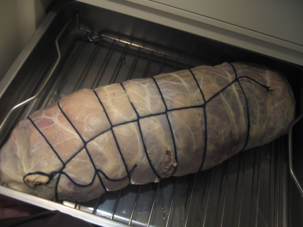 Coppa 3.jpg