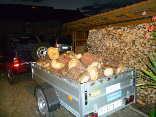Holz.JPG