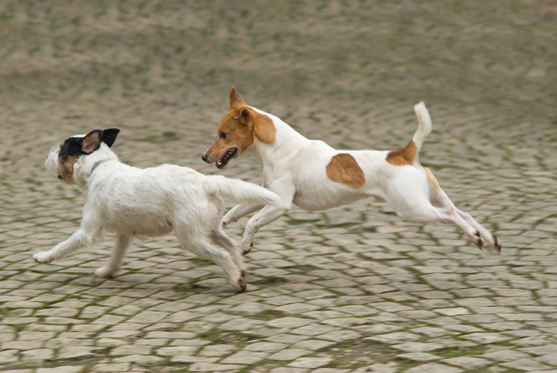 060114Grace-&-Baro149.jpg