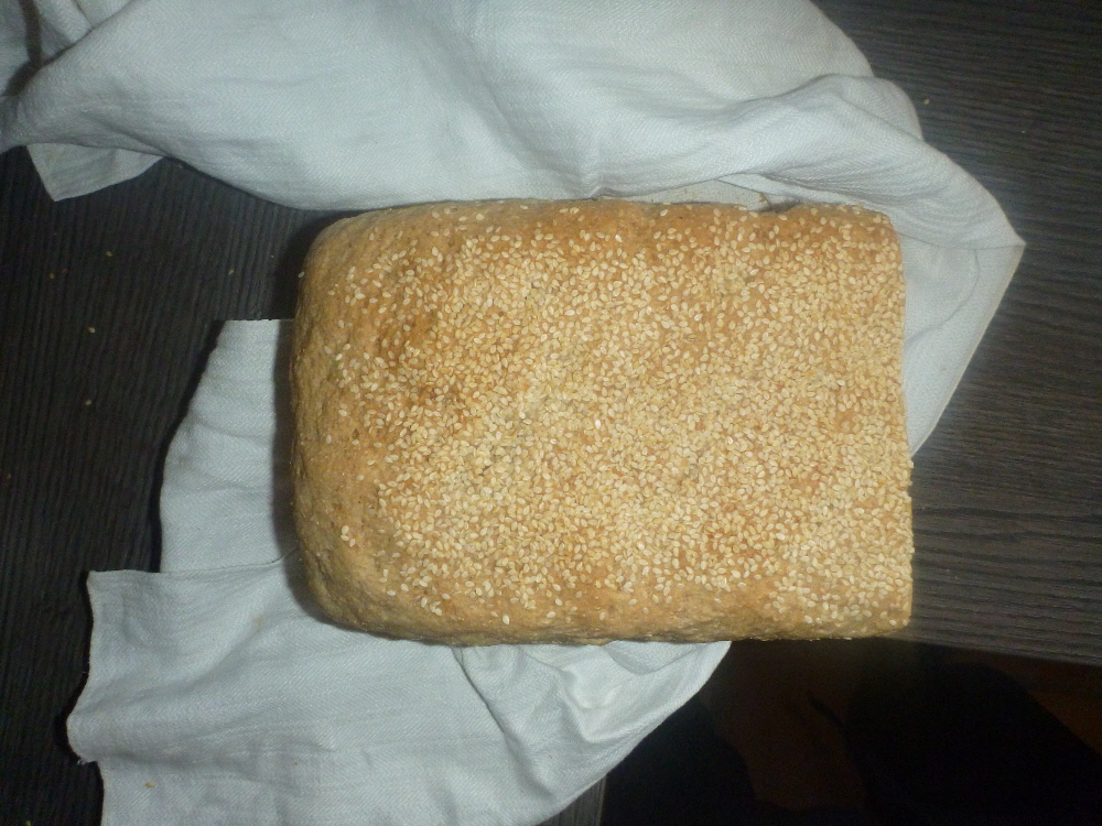 P1020784(1).JPG