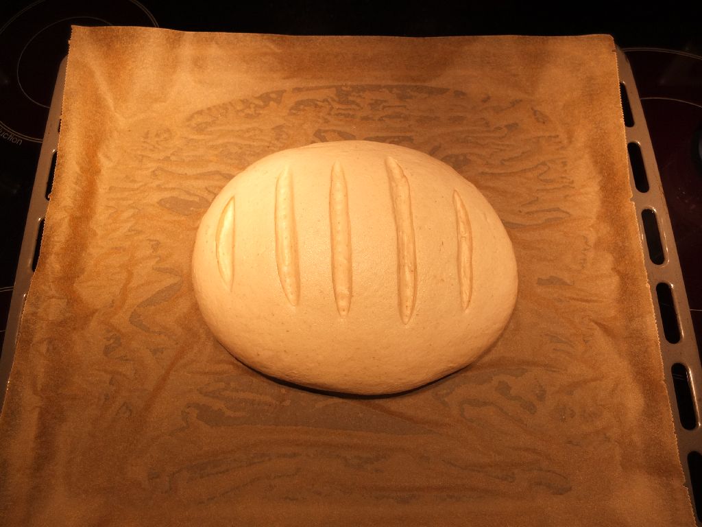 DSCF5756.JPG
