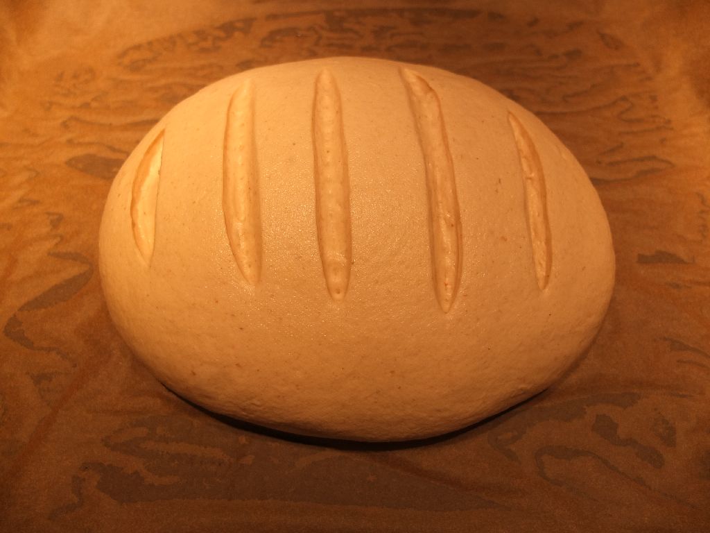 DSCF5755.JPG
