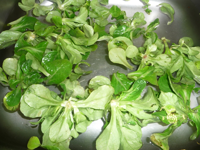 20140116_Blog_029_04.JPG