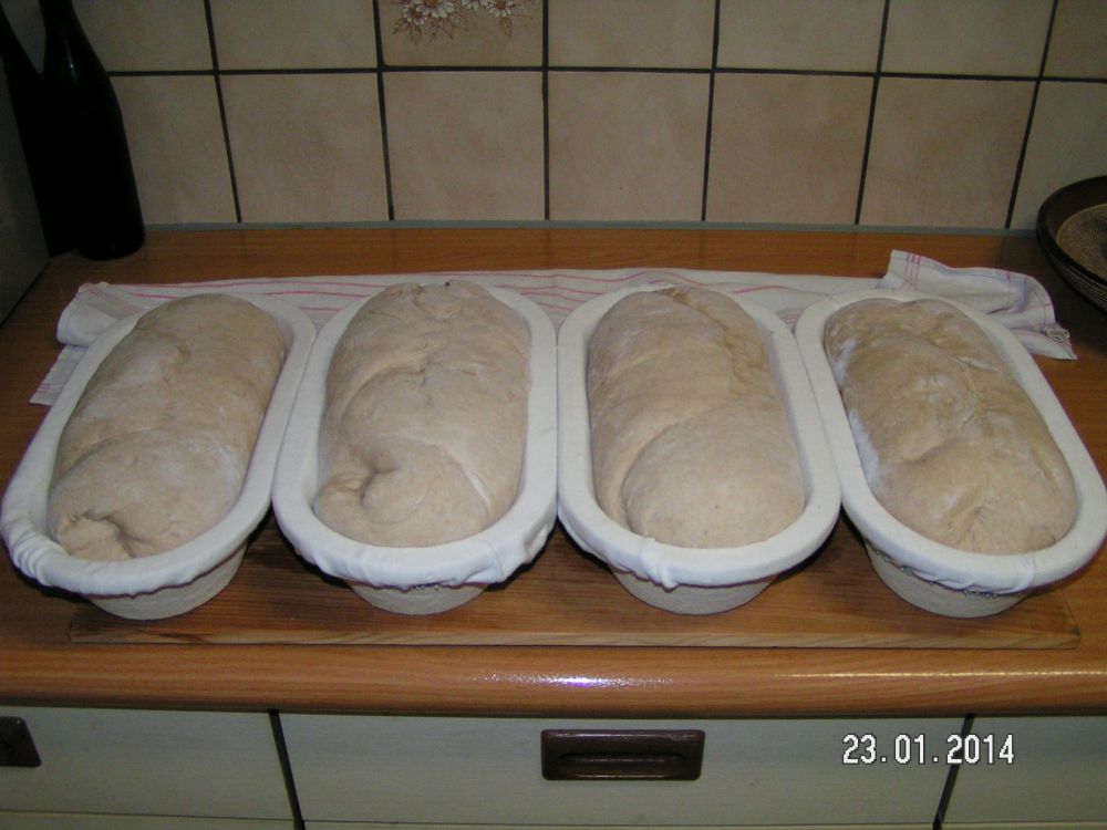 Brot 2-001.JPG