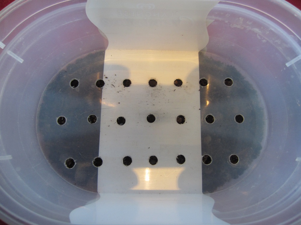 4. Einsatz der Schablone.JPG