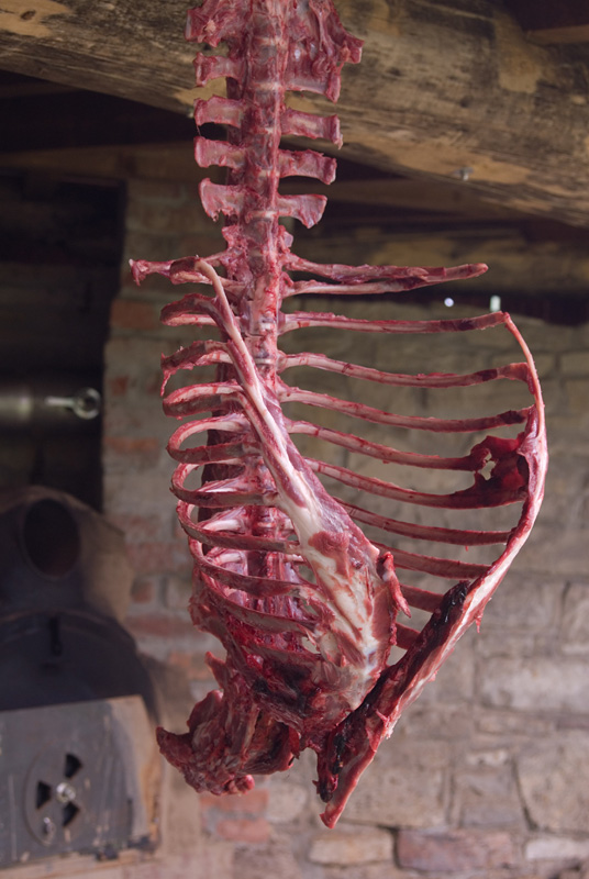 250613Rest eines WS.jpg