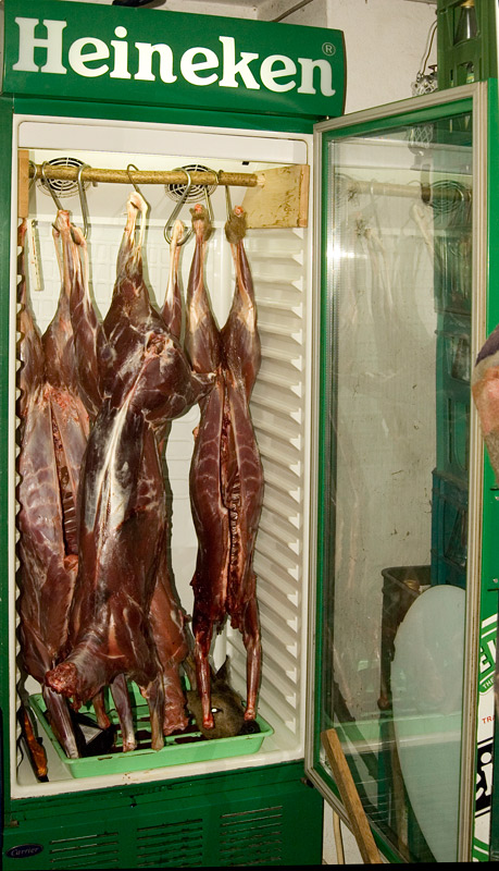 mein Getränkekühlschrank