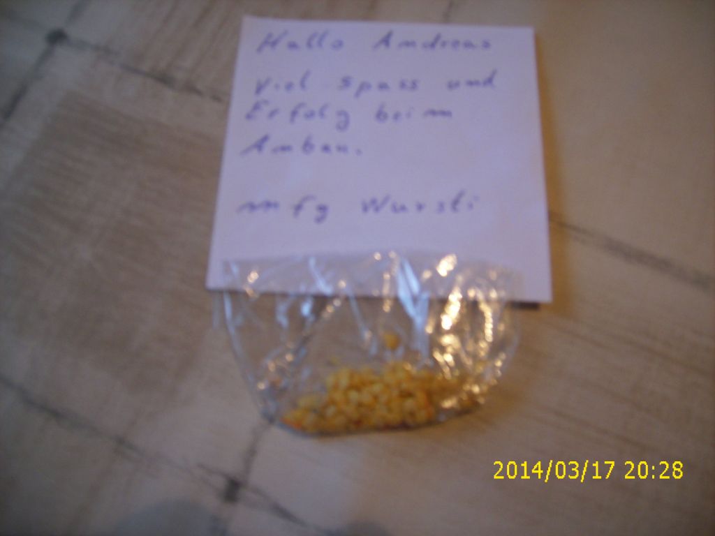 zugesandte Chilikerne Wursti.jpg