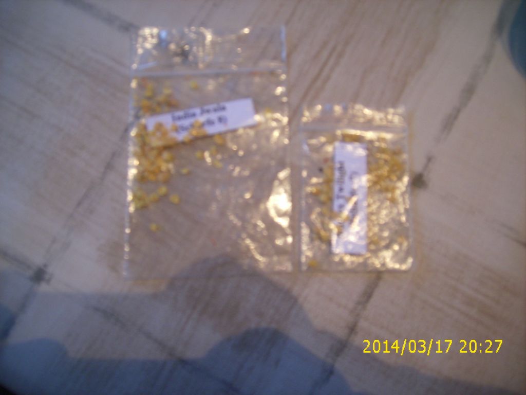 zugesandte Chilikerne Backwahn.jpg