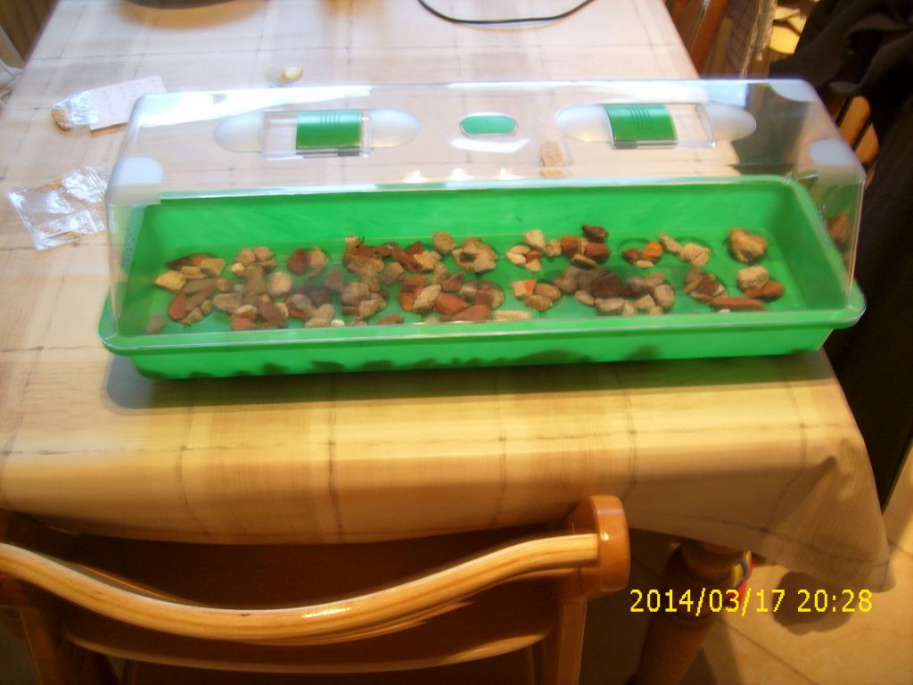 Vorbereitung Minigewächshaus.jpg