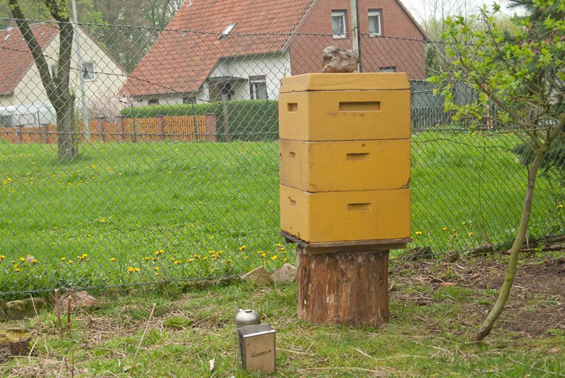 Honigraum drauf