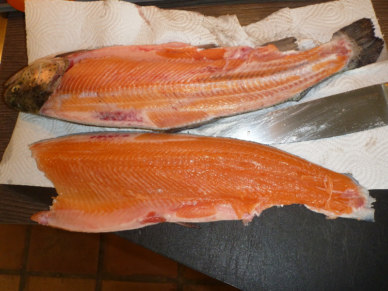 entlang der Kiemen einschneiden